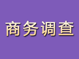 银川商务调查