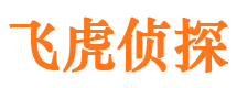 银川市场调查